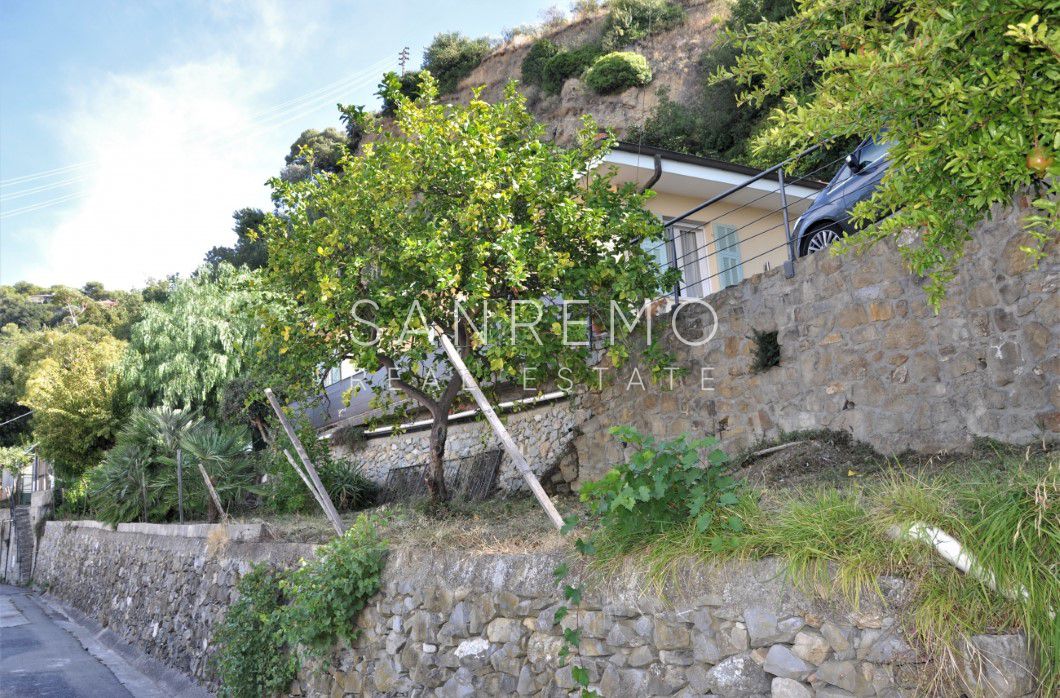 Little Villa surrounded by greenery