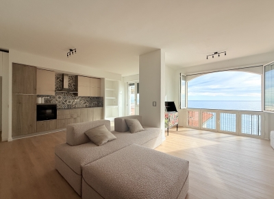 Penthouse with direct sea view