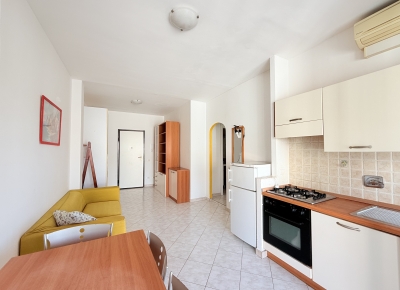 Bright one-bedroom apartment with a terrace in an elegant condominium